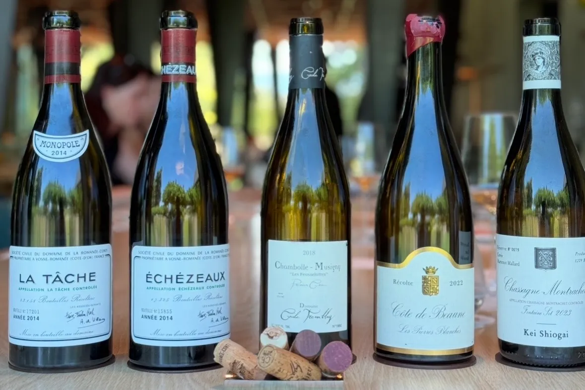 An advanced Burgundy tasting course in Shanghai